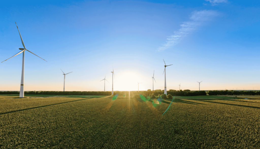 Eine Landschaft mit vielen Windkraftwerken und Sonnenuntergang.